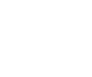 белое лого КГМИПиПК